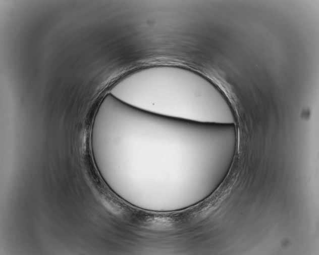 X0000100470157200806130802