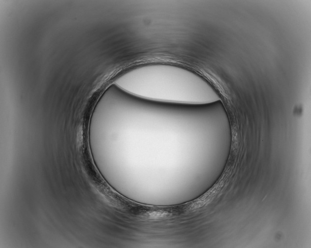 X0000100470158200806130803