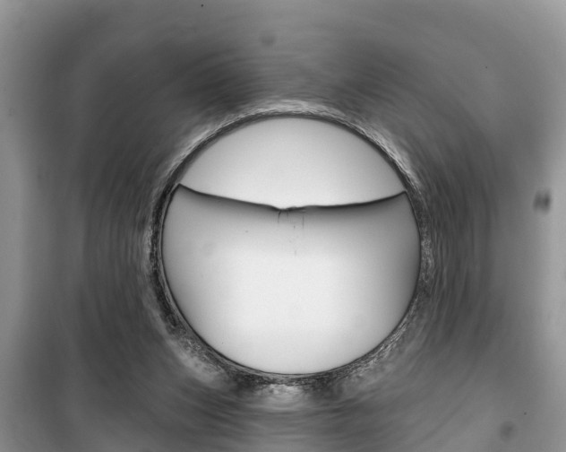 X0000100470159200806130803