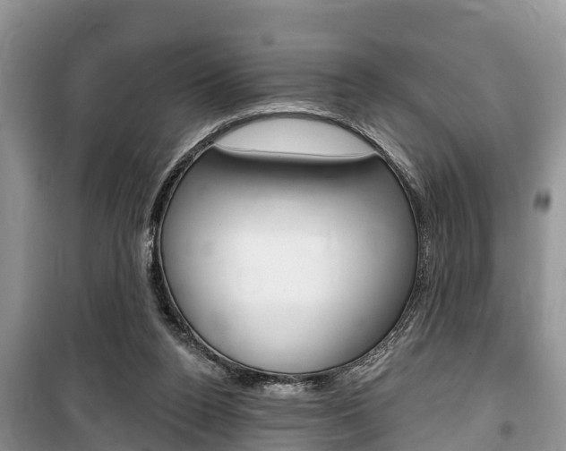 X0000100470160200806130803