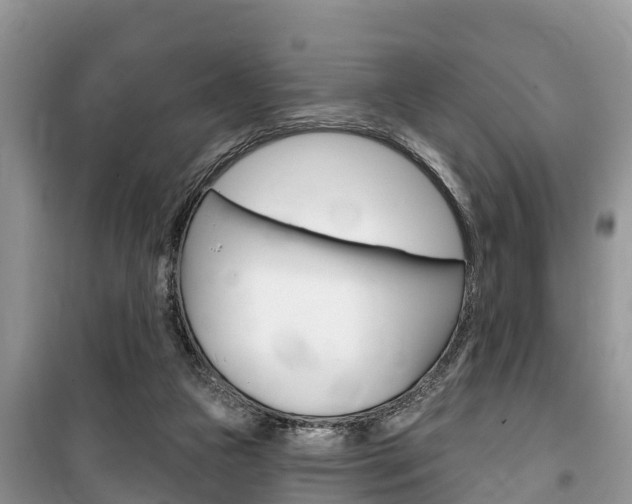 X0000100470161200806130803