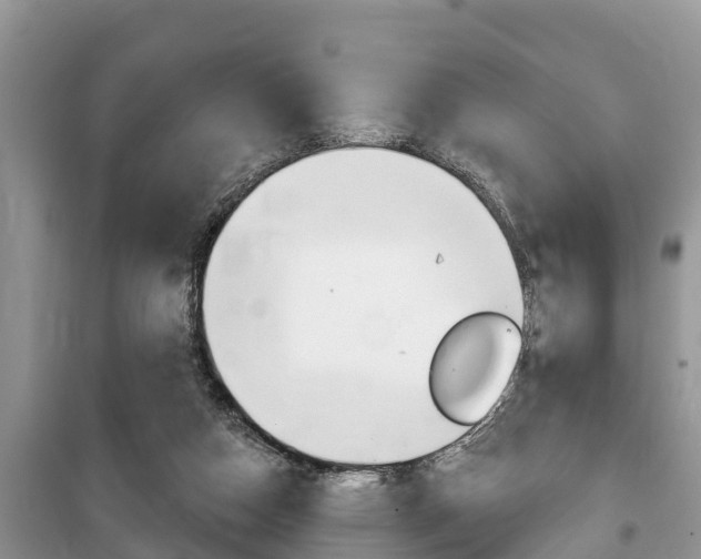 X0000100470162200806130803