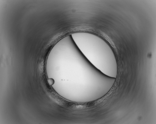 X0000100470163200806130803