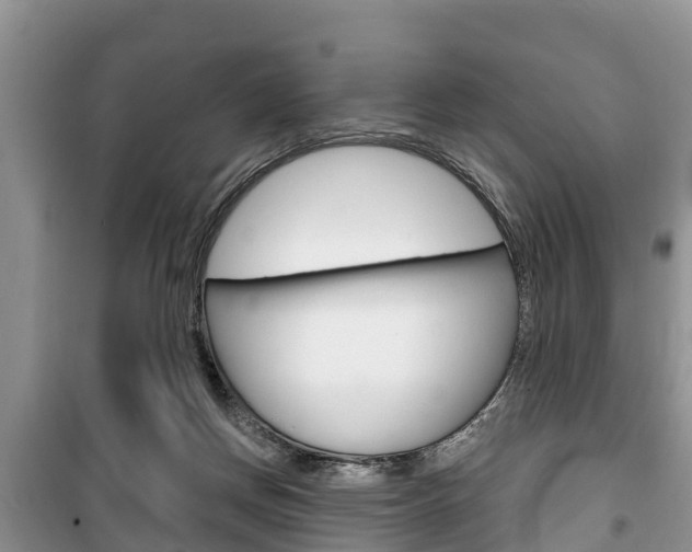 X0000100470166200806130803