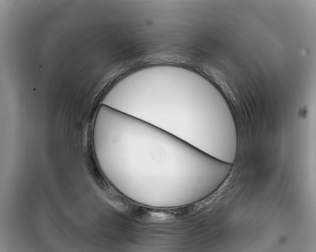 X0000100470167200806130803