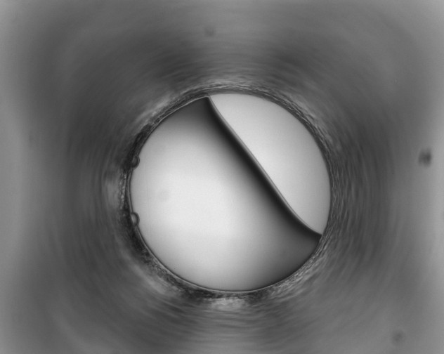 X0000100470168200806130803