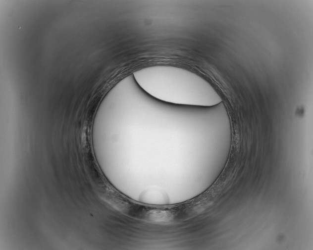 X0000100470169200806130803
