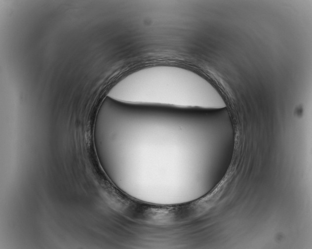X0000100470170200806130803