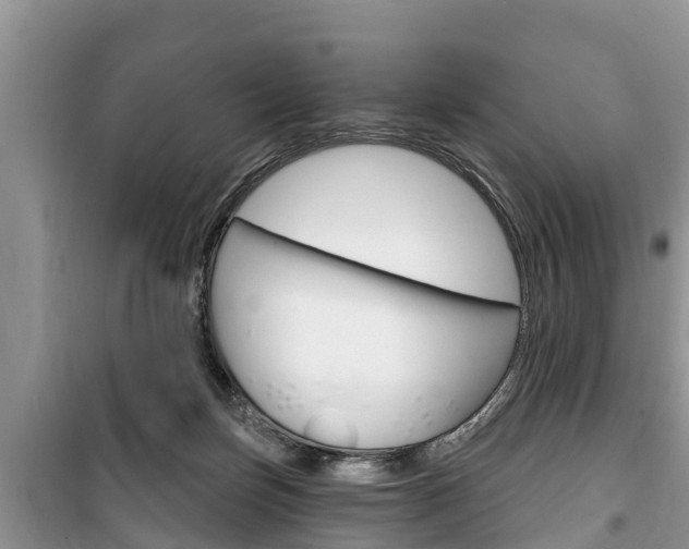 X0000100470171200806130803