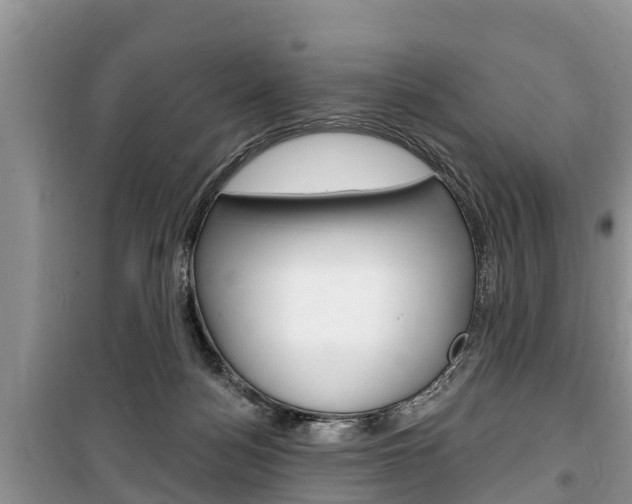 X0000100470172200806130803