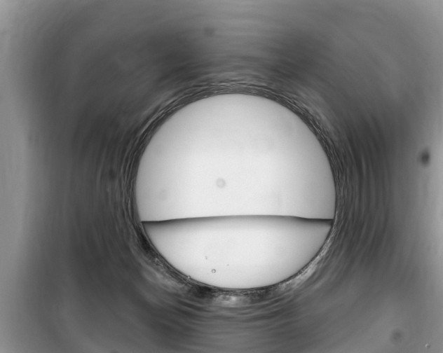 X0000100470174200806130803