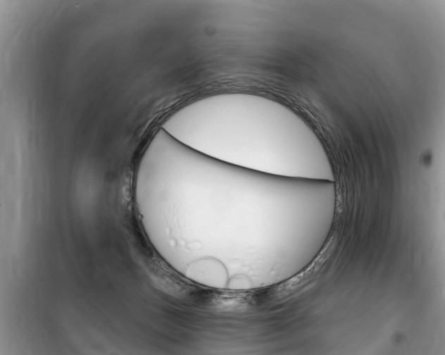 X0000100470175200806130803