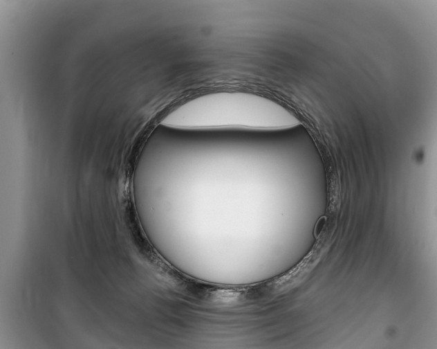 X0000100470176200806130803