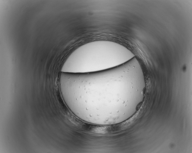 X0000100470178200806130803