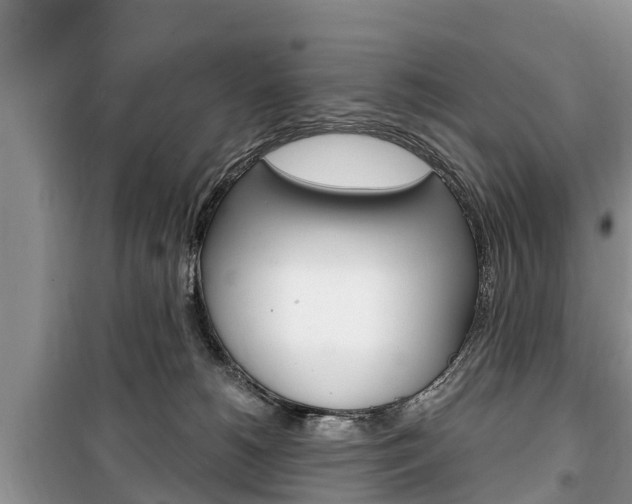 X0000100470180200806130803