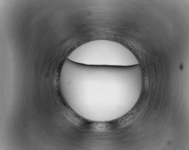 X0000100470181200806130803