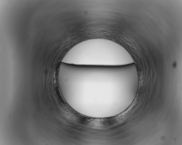 X0000100470182200806130803