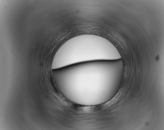 X0000100470184200806130803