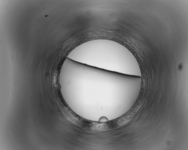 X0000100470185200806130803