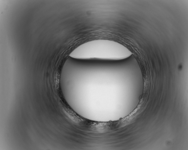 X0000100470186200806130803