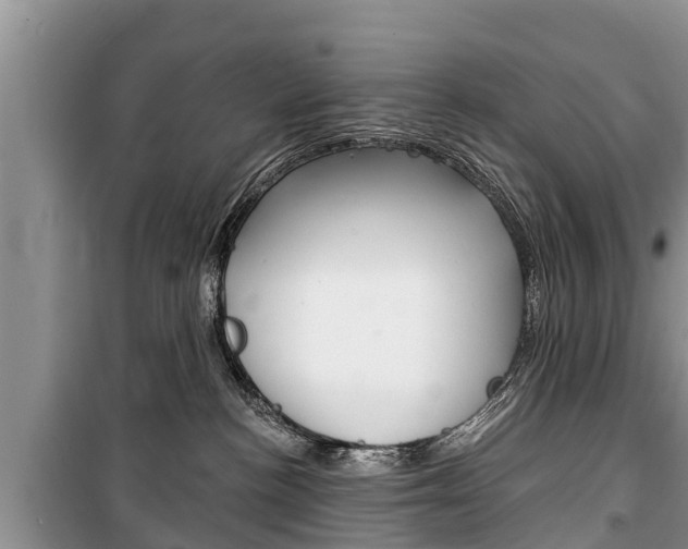 X0000100470188200806130803