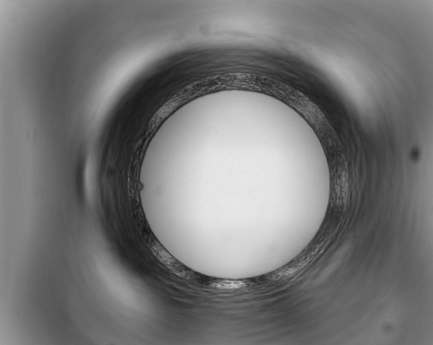 X0000100470189200806130803