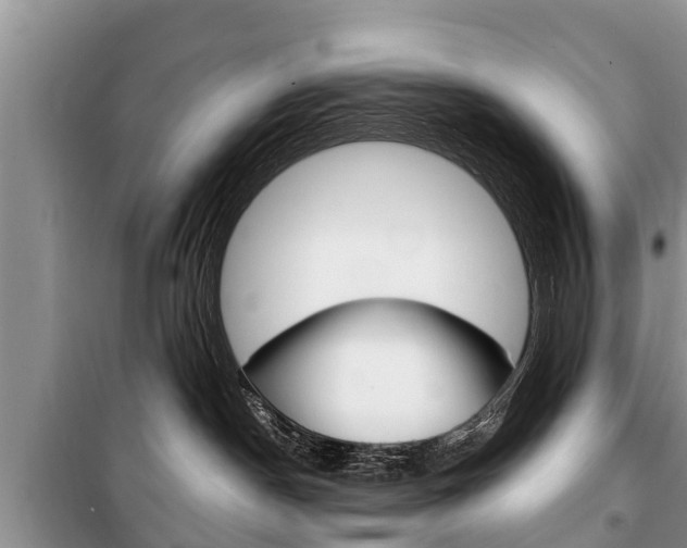 X0000100470190200806130803