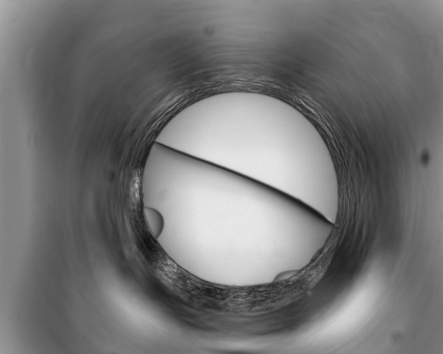 X0000100470191200806130803