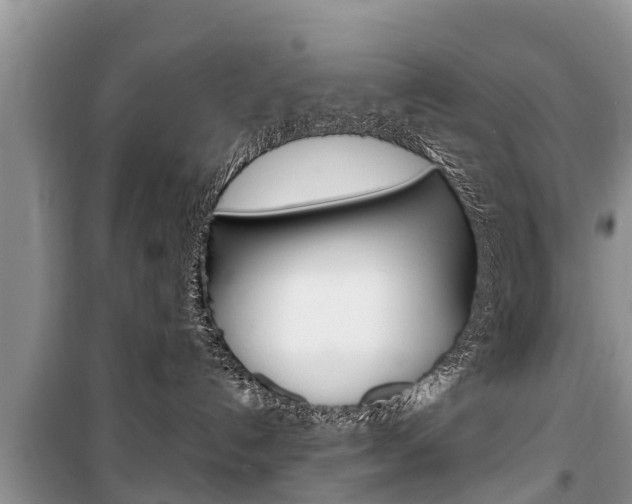 X0000100470192200806130803