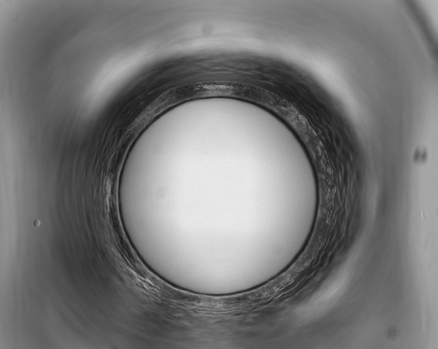 X0000100470194200806130802