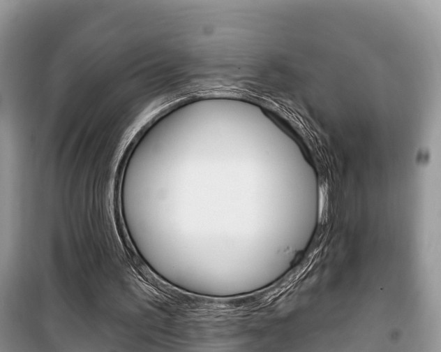 X0000100470195200806130802