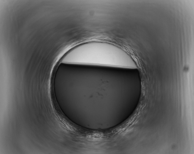 X0000100470196200806130802