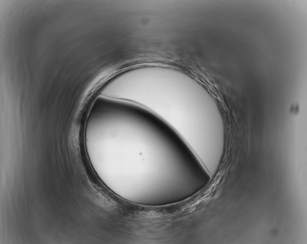 X0000100470197200806130802