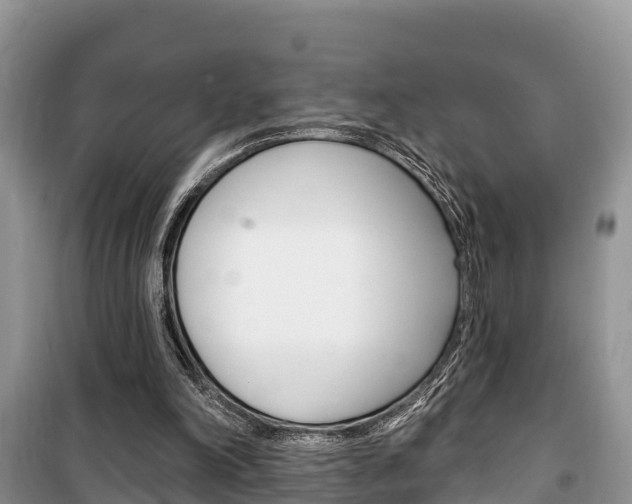 X0000100470198200806130802