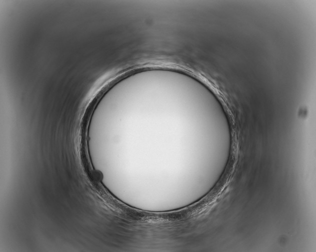 X0000100470199200806130802