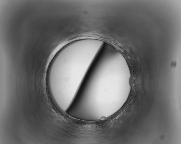X0000100470200200806130802