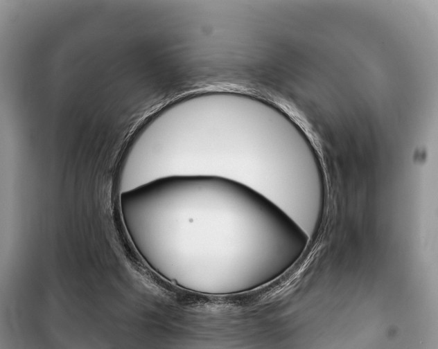 X0000100470201200806130802