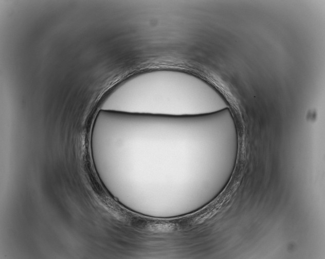 X0000100470202200806130802