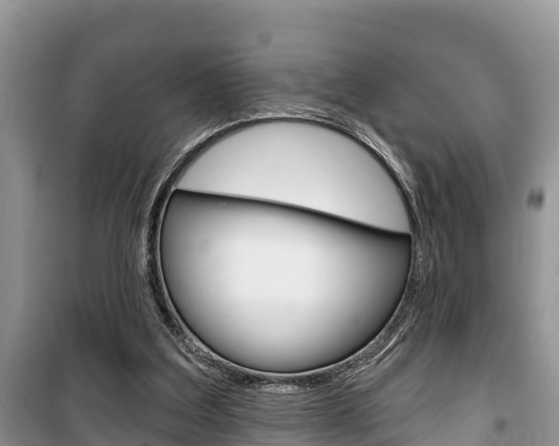 X0000100470203200806130802