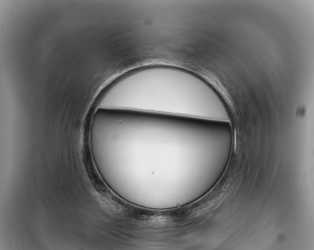 X0000100470204200806130802