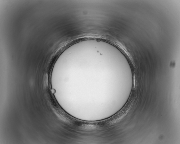 X0000100470205200806130802