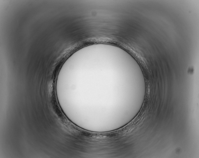 X0000100470206200806130802