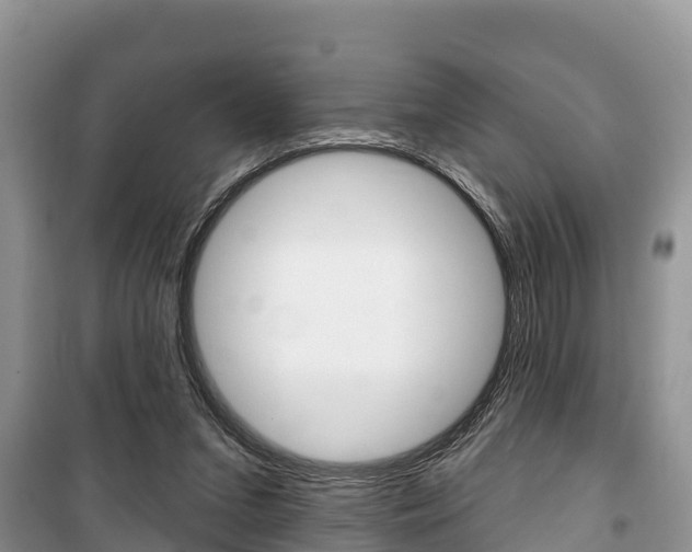 X0000100470207200806130802