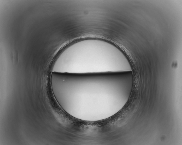X0000100470208200806130802