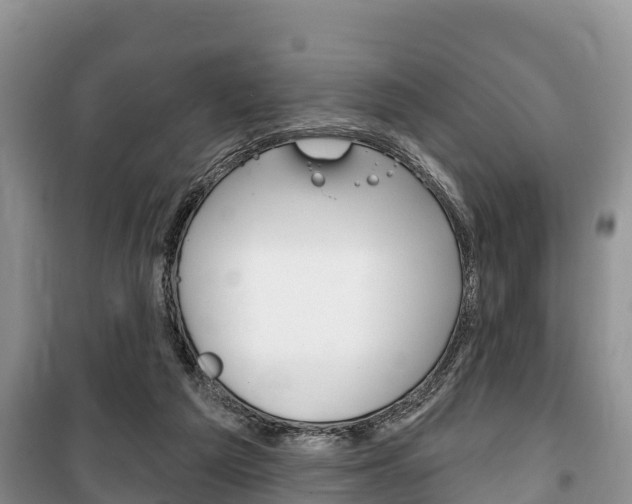 X0000100470209200806130802
