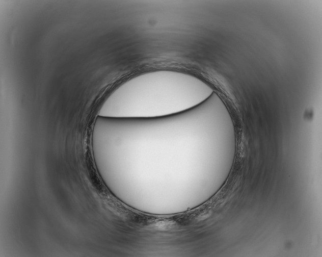 X0000100470210200806130802