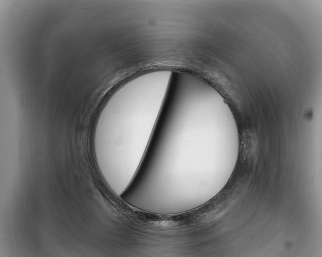 X0000100470212200806130802