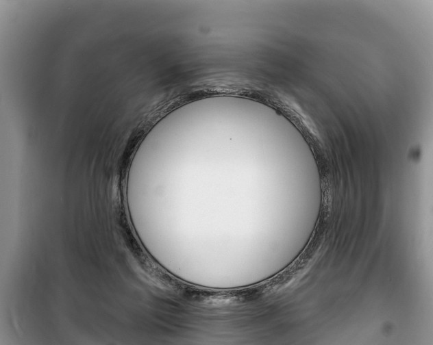 X0000100470213200806130802