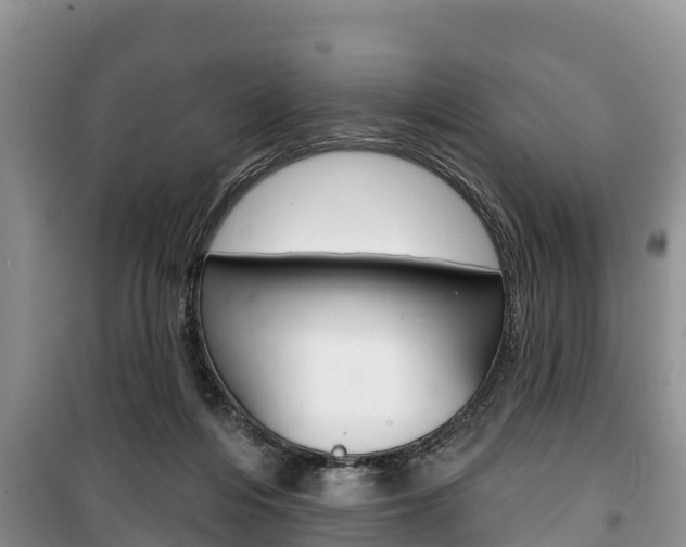 X0000100470216200806130802