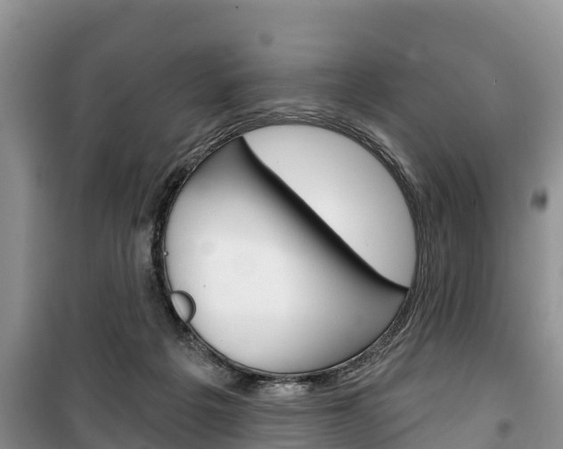 X0000100470217200806130802
